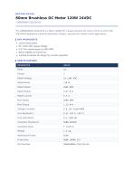CW80BLMB64-120L220-00_datasheet.pdf-1
