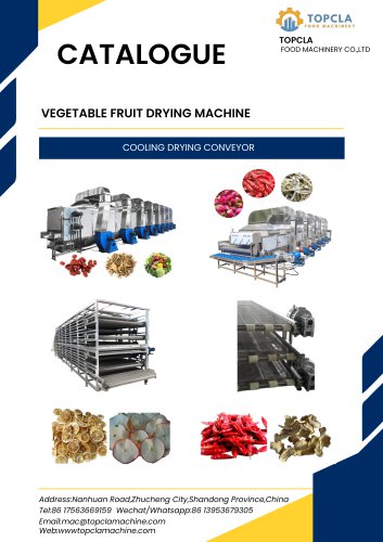 CONTINUOUS BELT DRYER