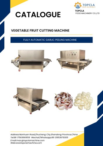 FULLY AUTOMATIC GARLIC PEELING MACHINE