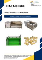 POTATO WASHING AND PEELING MACHINE-1
