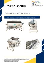 POTATO WASHING AND PEELING MACHINE-3