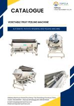 POTATO WASHING AND PEELING MACHINE-3