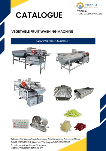 SALAD WASHING MACHINE
