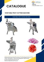VEGETABLE FRUIT DICING MACHINE-3