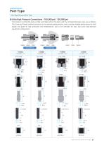 Safety Valve catalogue-10