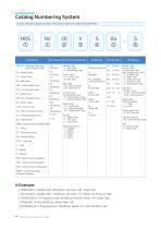Safety Valve catalogue-5