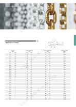 TDM Chain Catalog-7