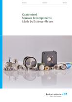 Customized Sensors & Components - Made by Endress+Hauser-1