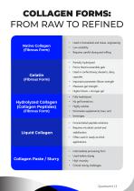 Manufacturing Collagen -4