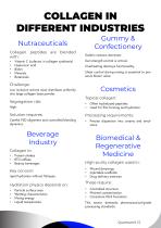 Manufacturing Collagen -6