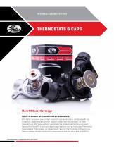 Thermostats and Caps - 1