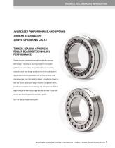 Spherical Roller Bearings - 7