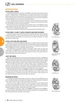 Timken Ball Bearings Catalog-7