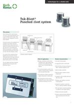 Punched rivet system for thin mouldings-5