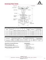 Piston Valves-3