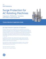 Surge Protection for AC Rotating Machines - 1