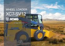 Skid Steer Loader XC7-SV12-1