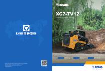 Skid Steer Loader XC7-TV12-1
