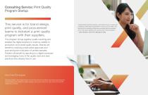 Brand Color Services Brochure-6
