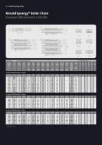 Renold Synergy-6
