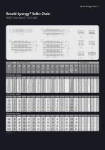Renold Synergy-7