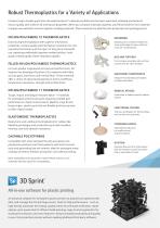 Selective Laser Sintering (SLS) Printers Brochure - 3