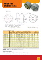 Micromotors - 13