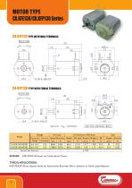 Micromotors - 4