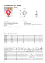 Catalog PDF (LIFTING AND CLAMPING DEVICES) - 17