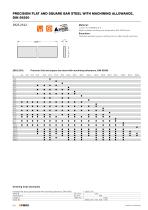 Catalog PDF (Precision Ground Plates and Flat Bars) - 11