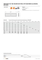 Catalog PDF (Precision Ground Plates and Flat Bars) - 13