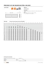 Catalog PDF (Precision Ground Plates and Flat Bars) - 17