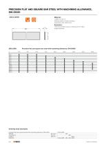 Catalog PDF (Precision Ground Plates and Flat Bars) - 9