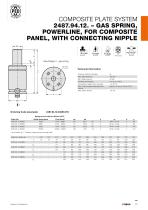 Composite Plate System - 13