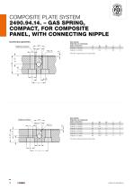 COMPOSITE PLATE SYSTEM - 18