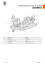 COMPOSITE PLATE SYSTEM - 5