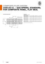 COMPOSITE PLATE SYSTEM - 6