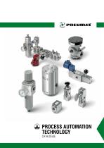 PROCESS AUTOMATION-1