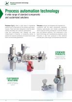 PROCESS AUTOMATION-6