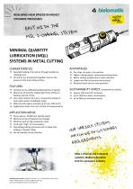 MMS 2-Kanal Fact Sheet-1