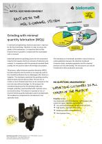 MMS Schleifen Fact Sheet-1