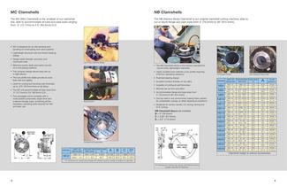 DL Ricci Clamshell Brochure - 3