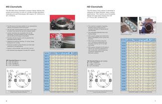 DL Ricci Clamshell Brochure - 4