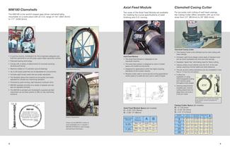 DL Ricci Clamshell Brochure - 5