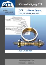 OTT worm and wheel gears-1