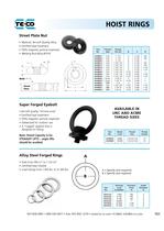 Hoist ring-13