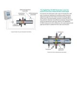 DigitalFlow™ GC868 Datasheet - 3