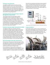 DigitalFlow™ GF868 Datasheet - 2