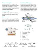 DigitalFlow™ XGF868i Datasheet - 2