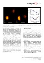 Deep 3D PALM/STORM imaging: MicAO 3DSR – the key to combining depth and highest resolution - Adaptive optics for microscopy Application Notes - 4